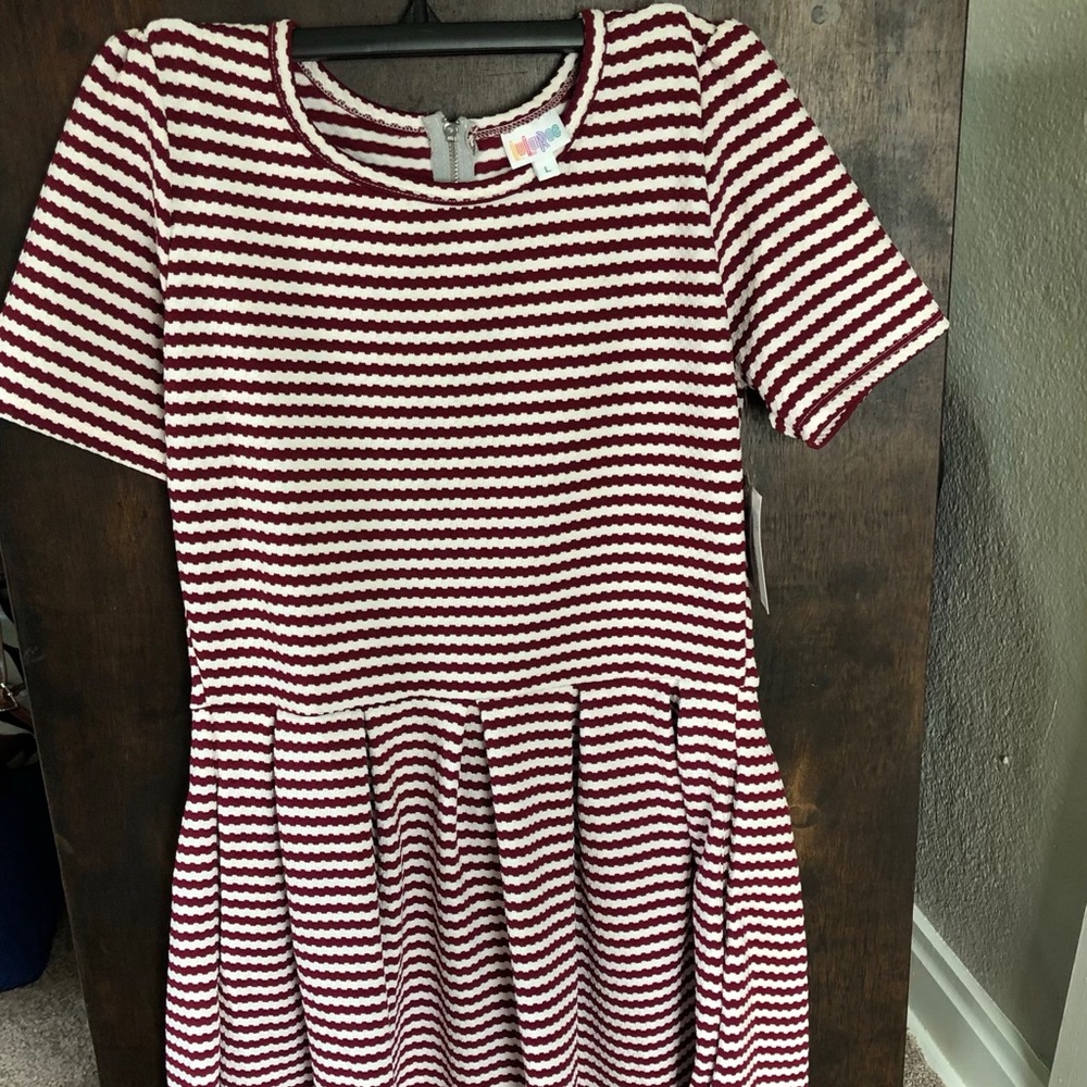 Lularoe Amelia large